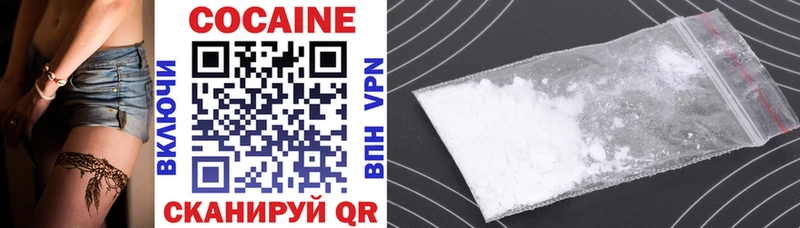 Cocaine FishScale  Купить закладки  Мытищи 