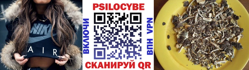 Купить где  Мытищи  Псилоцибиновые грибы MAGIC MUSHROOMS 